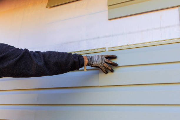 Best Siding Removal and Disposal  in Manassas Park, VA